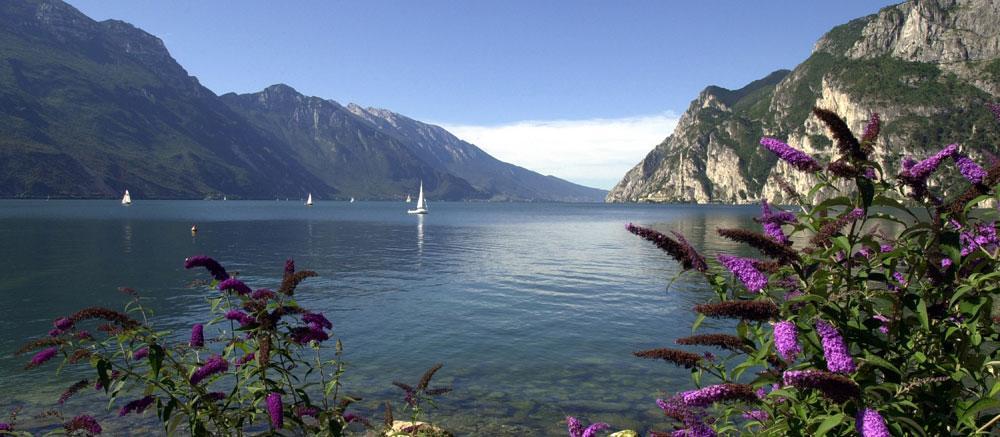 Villa Linfano Torbole Sul Garda ภายนอก รูปภาพ