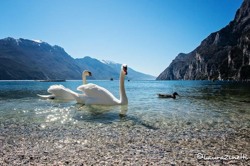 Villa Linfano Torbole Sul Garda ภายนอก รูปภาพ